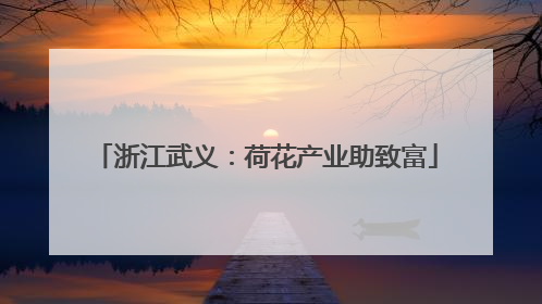 浙江武义：荷花产业助致富