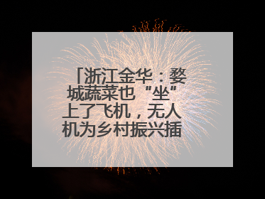 浙江金华：婺城蔬菜也“坐”上了飞机，无人机为乡村振兴插上“翅膀”