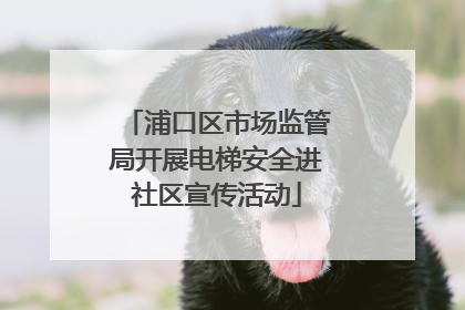 浦口区市场监管局开展电梯安全进社区宣传活动