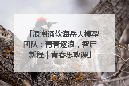 浪潮通软海岳大模型团队：青春逐浪，智启新程｜青春思政课