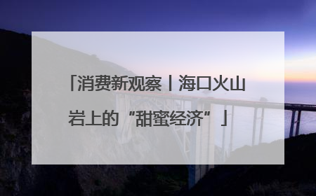 消费新观察丨海口火山岩上的“甜蜜经济”