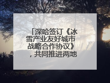 深哈签订《冰雪产业友好城市战略合作协议》，共同推进两地冰雪体育文化旅游高质量发展