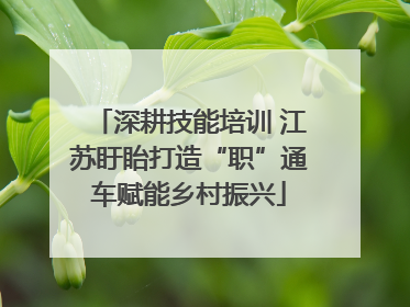 深耕技能培训 江苏盱眙打造“职”通车赋能乡村振兴