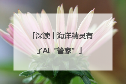 深读丨海洋精灵有了AI“管家”