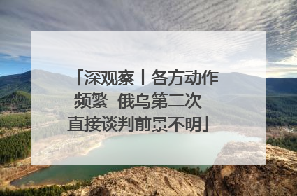 深观察丨各方动作频繁  俄乌第二次直接谈判前景不明