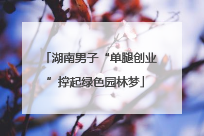 湖南男子“单腿创业”撑起绿色园林梦