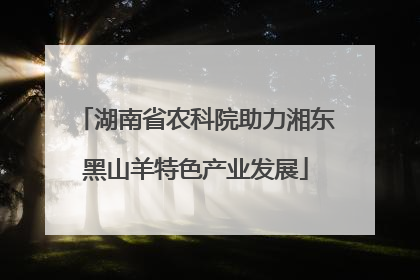 湖南省农科院助力湘东黑山羊特色产业发展