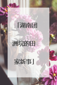 湖南团洲垸的田家新事