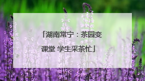 湖南常宁：茶园变课堂 学生采茶忙