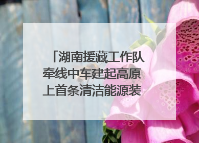 湖南援藏工作队牵线中车建起高原上首条清洁能源装配产线，本地大学生成车间检验员