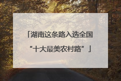 湖南这条路入选全国“十大最美农村路”