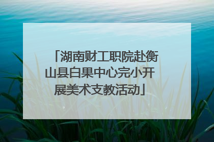 湖南财工职院赴衡山县白果中心完小开展美术支教活动