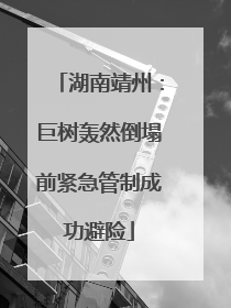 湖南靖州：巨树轰然倒塌前紧急管制成功避险