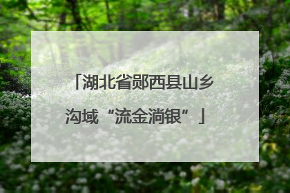 湖北省郧西县山乡沟域“流金淌银”