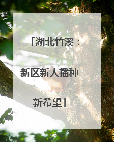 湖北竹溪：新区新人播种新希望