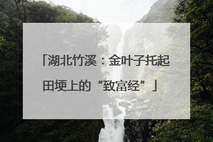 湖北竹溪：金叶子托起田埂上的“致富经”