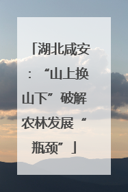湖北咸安：“山上换山下”破解农林发展“瓶颈”