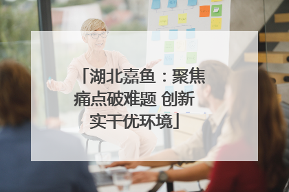 湖北嘉鱼：聚焦痛点破难题 创新实干优环境