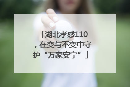 湖北孝感110，在变与不变中守护“万家安宁”