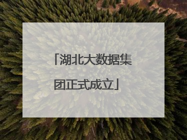 湖北大数据集团正式成立
