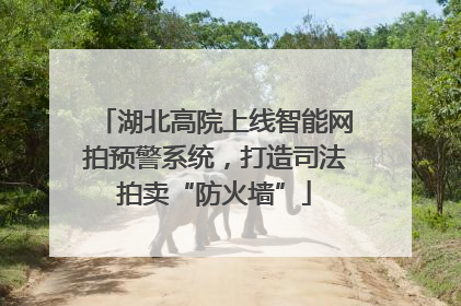 湖北高院上线智能网拍预警系统，打造司法拍卖“防火墙”