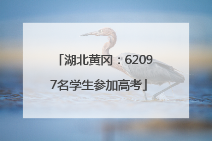 湖北黄冈：62097名学生参加高考