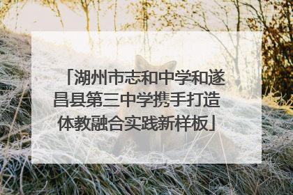 湖州市志和中学和遂昌县第三中学携手打造体教融合实践新样板