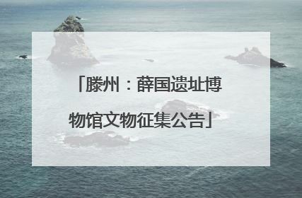 滕州：薛国遗址博物馆文物征集公告