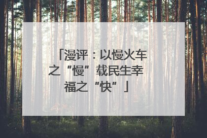 漫评：以慢火车之“慢”载民生幸福之“快”
