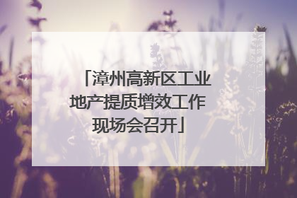 漳州高新区工业地产提质增效工作现场会召开