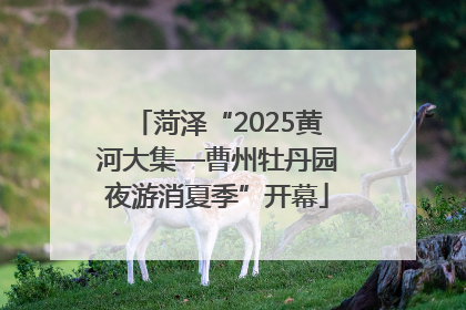 菏泽“2025黄河大集—曹州牡丹园夜游消夏季”开幕