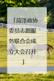 菏泽政协委员志愿服务联合会成立大会召开