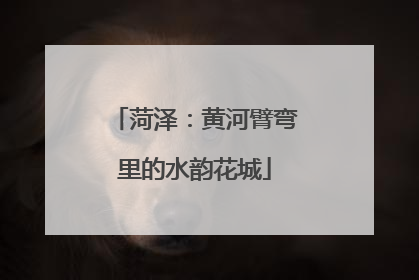 菏泽：黄河臂弯里的水韵花城