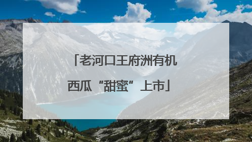 老河口王府洲有机西瓜“甜蜜”上市