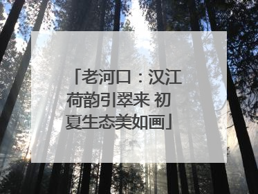 老河口：汉江荷韵引翠来 初夏生态美如画