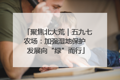 聚焦北大荒｜五九七农场：加强湿地保护 发展向“绿”而行