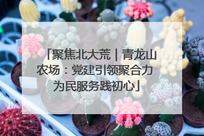 聚焦北大荒｜青龙山农场：党建引领聚合力 为民服务践初心