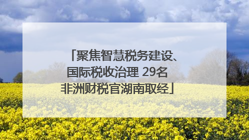 聚焦智慧税务建设、国际税收治理 29名非洲财税官湖南取经