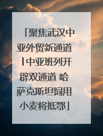 聚焦武汉中亚外贸新通道│中亚班列开辟双通道 哈萨克斯坦饲用小麦将抵鄂