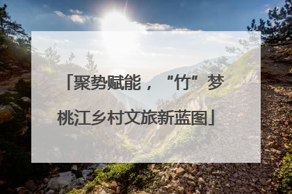 聚势赋能，“竹”梦桃江乡村文旅新蓝图