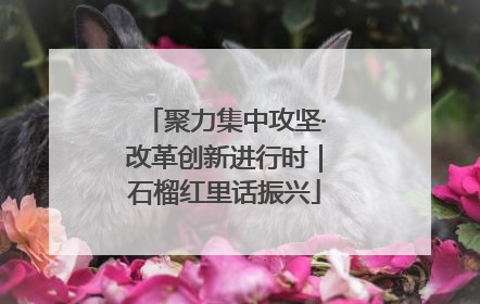 聚力集中攻坚·改革创新进行时｜石榴红里话振兴