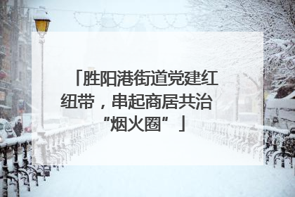 胜阳港街道党建红纽带，串起商居共治 “烟火圈”