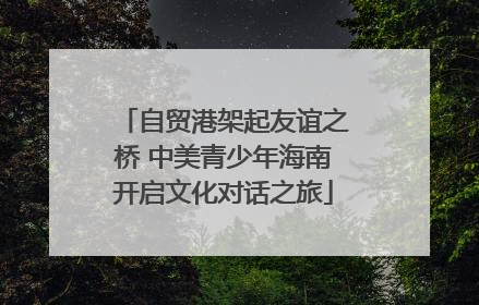 自贸港架起友谊之桥 中美青少年海南开启文化对话之旅