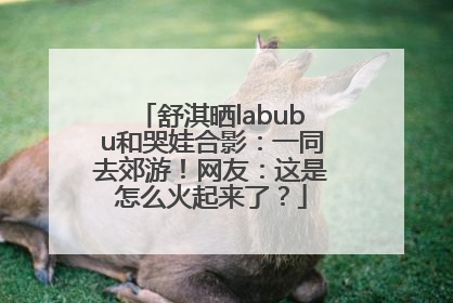 舒淇晒labubu和哭娃合影：一同去郊游！网友：这是怎么火起来了？