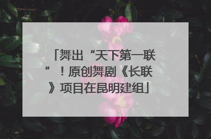 舞出“天下第一联”！原创舞剧《长联》项目在昆明建组