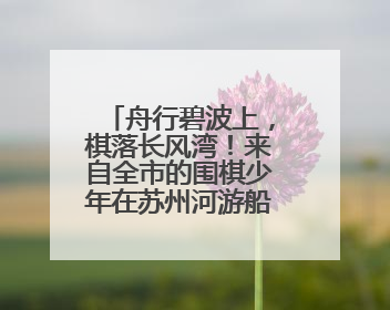 舟行碧波上，棋落长风湾！来自全市的围棋少年在苏州河游船上展开对决