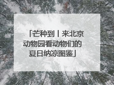 芒种到丨来北京动物园看动物们的夏日纳凉图鉴
