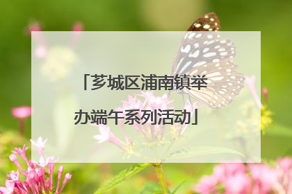 芗城区浦南镇举办端午系列活动