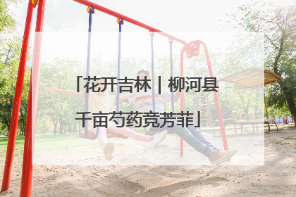 花开吉林｜柳河县千亩芍药竞芳菲