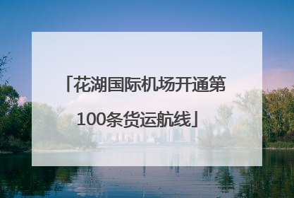 花湖国际机场开通第100条货运航线
